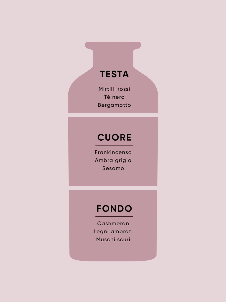 LETTERE DI PROFUMO LEGNI PREZIOSI & AMBRA GRIGIA